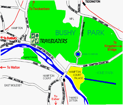 Map of Trailblazers location