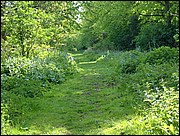 A view of the nature trail